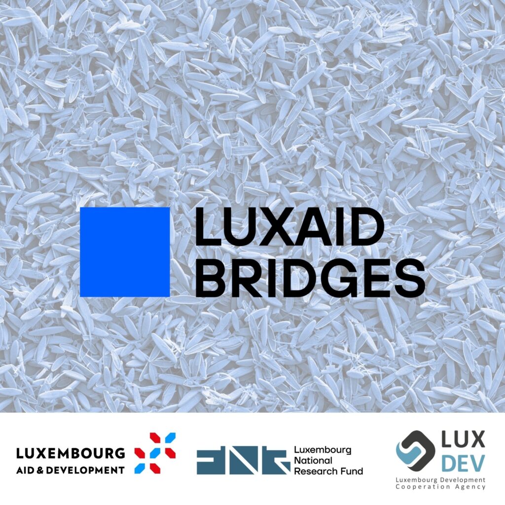 The FNR is pleased to communicate that 3 of 13 projects have been retained for funding in the LuxAid BRIDGES Call. LuxAid BRIDGES is a joint call between the FNR, the Directorate for Development Cooperation and Humanitarian Affairs of the Ministry of Foreign and European Affairs (MFEA) and the Luxembourg Development Cooperation Agency LuxDev.