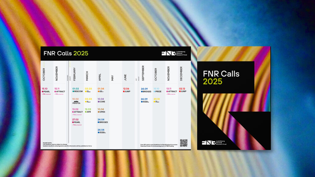 Main FNR 2025 Calls at a glance in an A5 flyer or A3 poster.